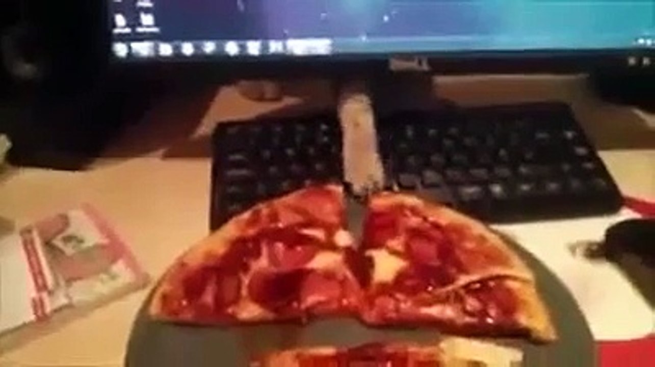 The Cat Trying To Steal Pizza - Funny Videos