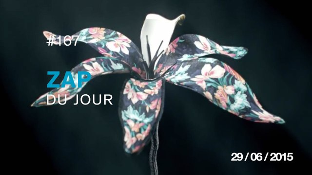 ZAP DU JOUR #167 : Couper une pastèque au sabre / Roller Coaster nouvelle génération / Roadrunner Vs Serpent à sonnette