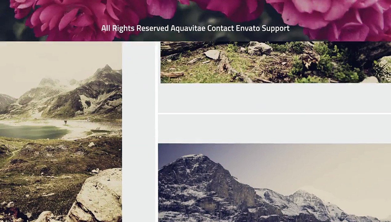 After Effects Project Files - Portfolio Slideshow - VideoHive 9558234