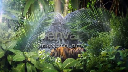 After Effects Project Files - Jungle Stone Logo - VideoHive 9563311