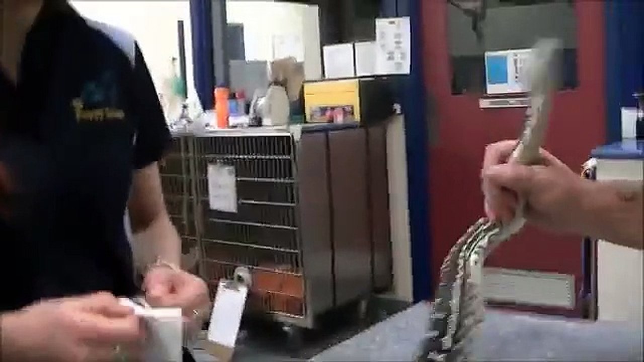 Karla and the Sad Python