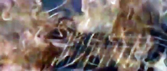 Sting & Eric Clapton - It's Probably Me