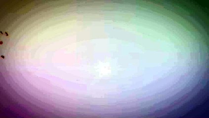 After Effects Project Files - Maple Leaves Logo Reveal - VideoHive 9572555