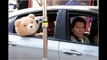 Watch ted 2 Full Movie Free Online Streaming