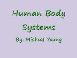 Human Body Systems