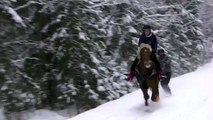 Snowboarding with a horse