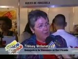 Cámara de Comercio Venezolana Latino Caribeña (Capitulo 2/4)