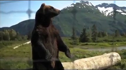 Introduction to Anchorage, Alaska