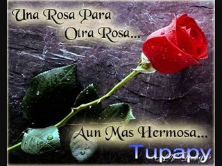 ME ESTOY ENAMORANDO HOY DE TI