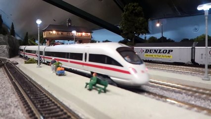 Fleischmann ice t train