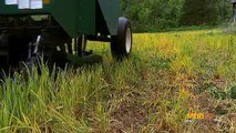 Better Deer Hunting:  Scouting Soybeans for Bigger Antlers