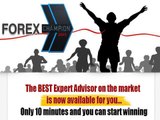Forex Champion 2015 - Excellent Results & Low Risk!