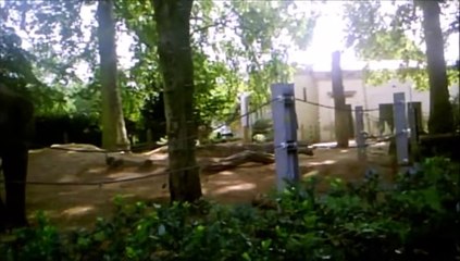 Zoo Tour 02/08/2014 (2015 EDITED)