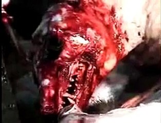 The Chinese Fur Trade