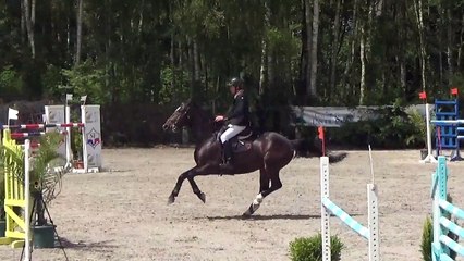 vol de nuit 20150624 VERQUIGNEUL 6ANS QUALIF VITESSE 1.30M