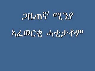 ኣብ ኣኼባ ኣዲስ ኣበባ ዝተሳተፉ 3ተ ምሁራት ኤርትራውያን