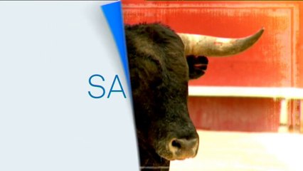 Signes du Toro l'actu - bande annonce été 2015