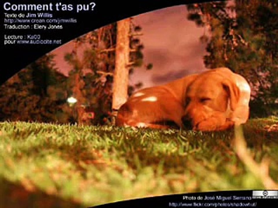 Livre audio: Comment t'as pu ?