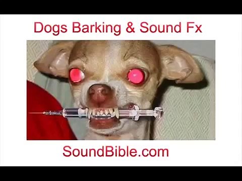 Dog Barking Sounds