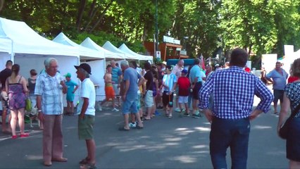 1000 Pagaies 2015 Avignon