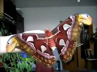 Crazy Russia 3 - Zwariowana Rosja 3