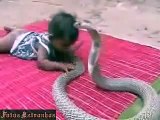 Serpente atacando bebê. Cenas fortes, cuidado.