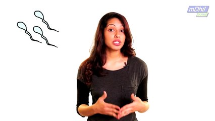 TELUGU: What is the Female Reproductive System