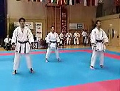 kanku sho team + bunkai