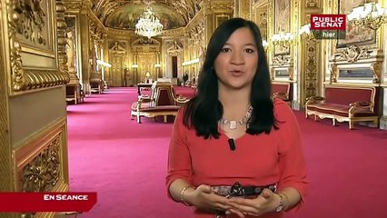 En séance - Suite et fin du Projet de loi sur le Dialogue social et l'emploi