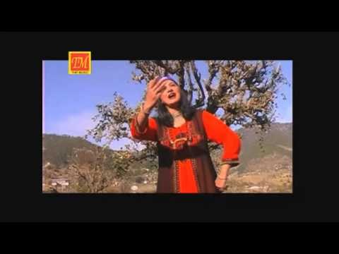 Dhaniye Pada Mor | Himachali Nati HD Video Song | Pahari Video Song | Sharda Sharma | TM Music