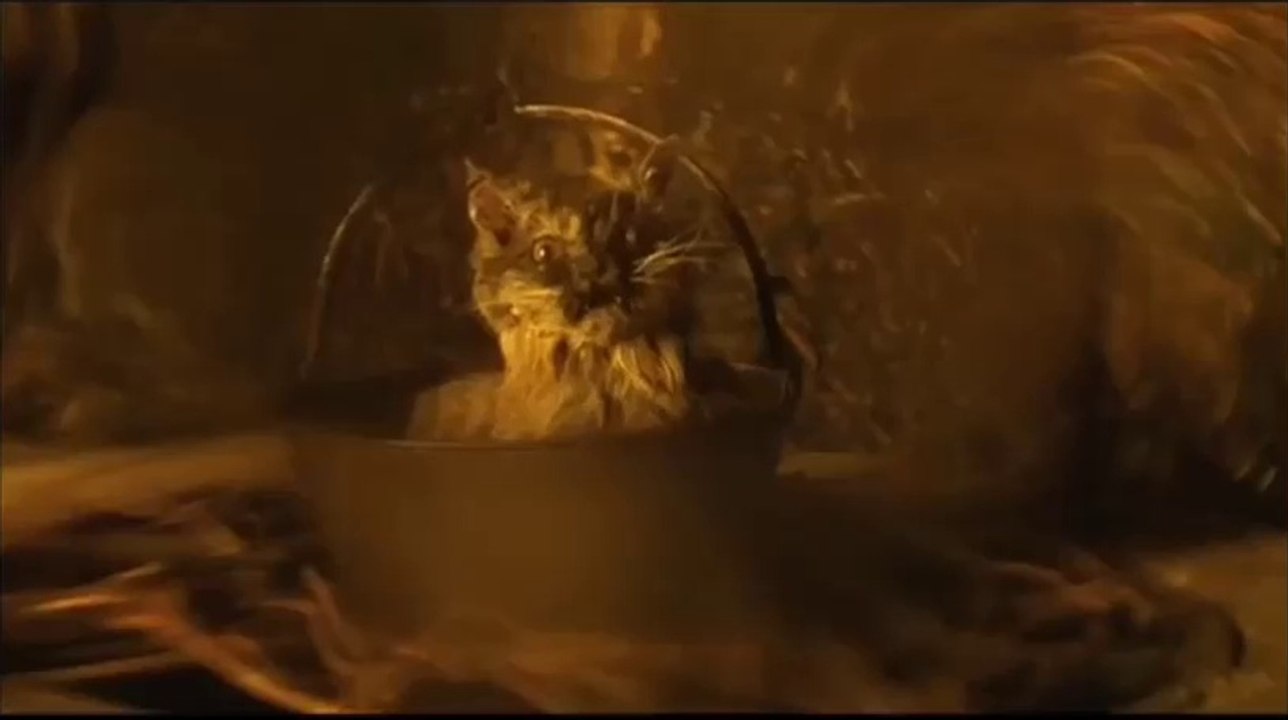 Current 93 - The Cat Is Dead