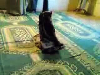 Jinn Offering Prayers