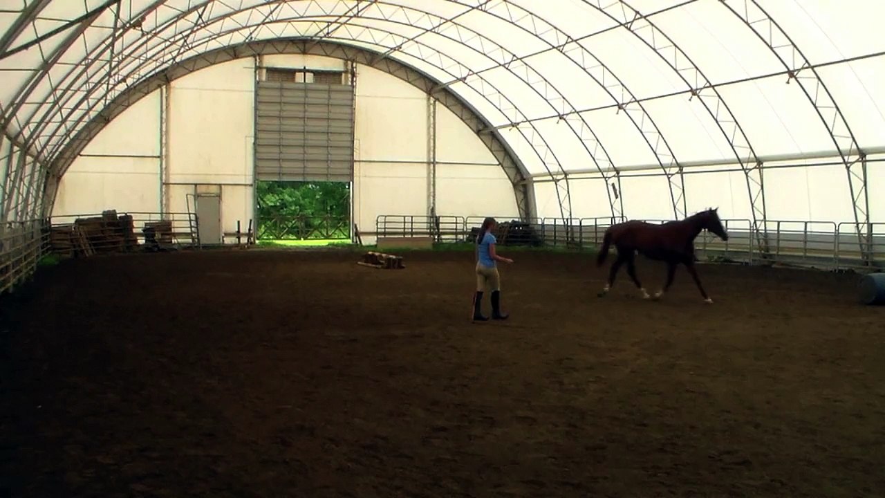 Annie w/t/c & Jumping Groundwork