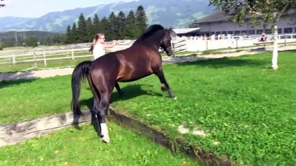 It's better to die on your feet, than live on your knees ♥