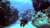 Freediving swim through - William Trubridge