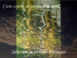 Radu Gyr - Ne vom intoarce intr-o zi