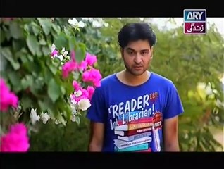 Behnain Aisi Bhi Hoti Hain Episode 251 Full - 29 June 2015