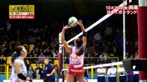 2010世界バレー日本大会　番組宣伝 荒木絵里香編