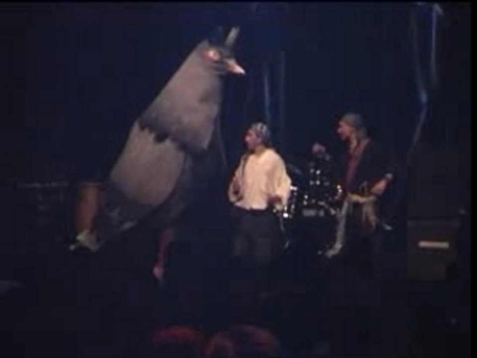 Soirée Brésilienne avec le pgm