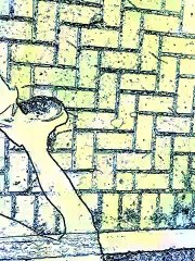 Vídeos by iPhone 4, cotidiano de uma caminhada, Taubaté, SP, Brasil, (69)