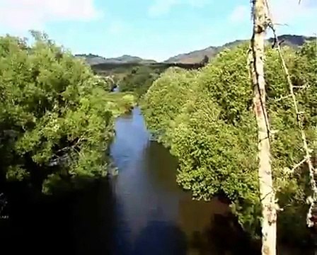 Whirinaki River - pristine wild trout paradise in virgin native New Zealand Forest