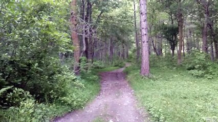 sameer saahil with friends sharan forest at paras