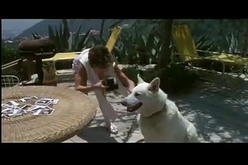 Diversão & Arte - 26/3/2013