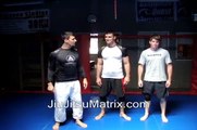 Advanced Brazilian Jiu-Jitsu Matrix Moves: Ricardo Migliarese's 