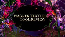 Wagner Texturing tool Review