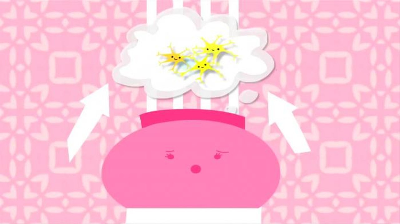 Hombres vs Mujeres: las grandes diferencias de nuestros cerebros - Sexo Opuesto