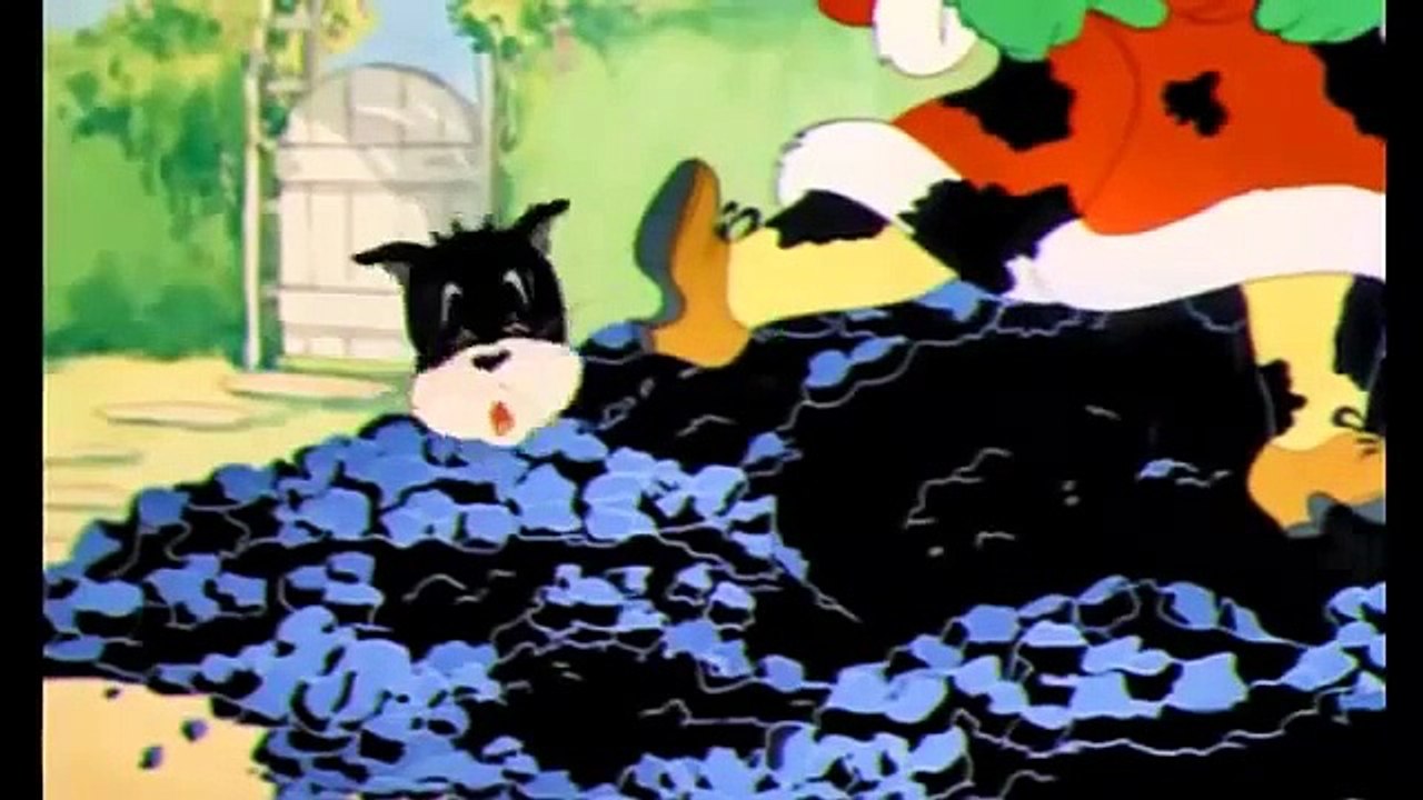 Tom and Jerry cartoon - Mouse Cleaning