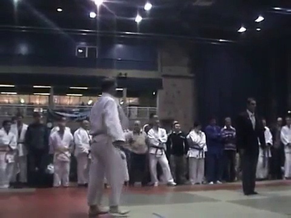 Judo throw
