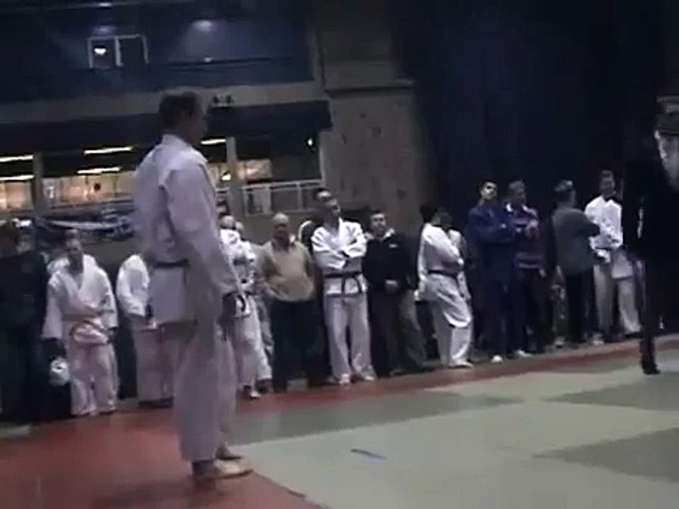 Judo throws
