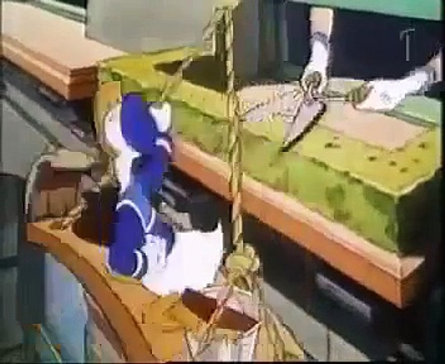 Donald Duck in mathmagic land dvd | Donald Duck cartoon